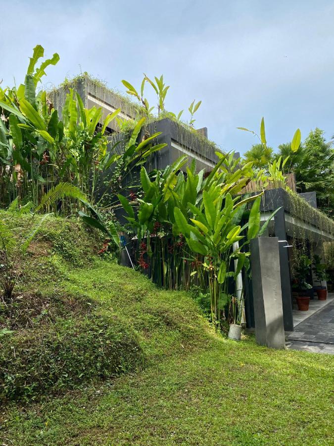 Hotel The Civyt Ubud Exteriér fotografie